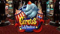 Circus Wonders (Чудеса цирка)