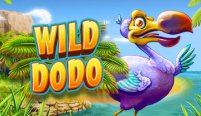 Wild Dodo (Дикий Додо)
