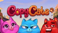 Copy Cats (Копировать кошек)