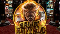 Ragin' Buffalo